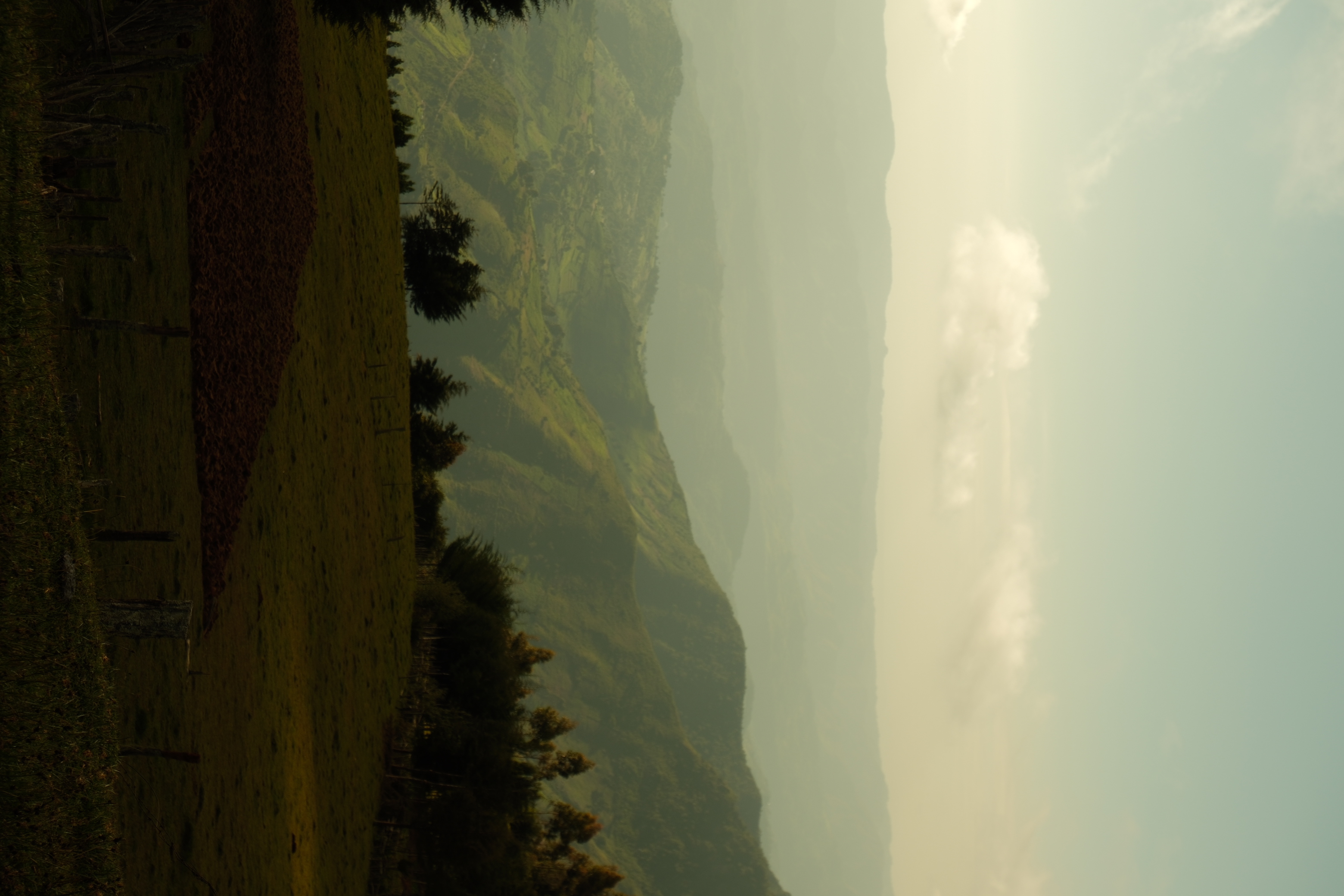 Misty highlands at dawn